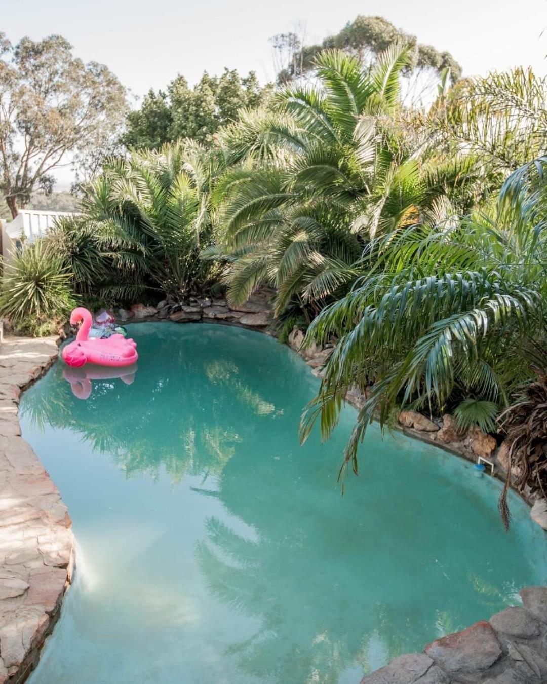 Thyme Wellness Spa And Guesthouse Cape Town Bagian luar foto